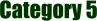 Category 5.jpg (5485 bytes)